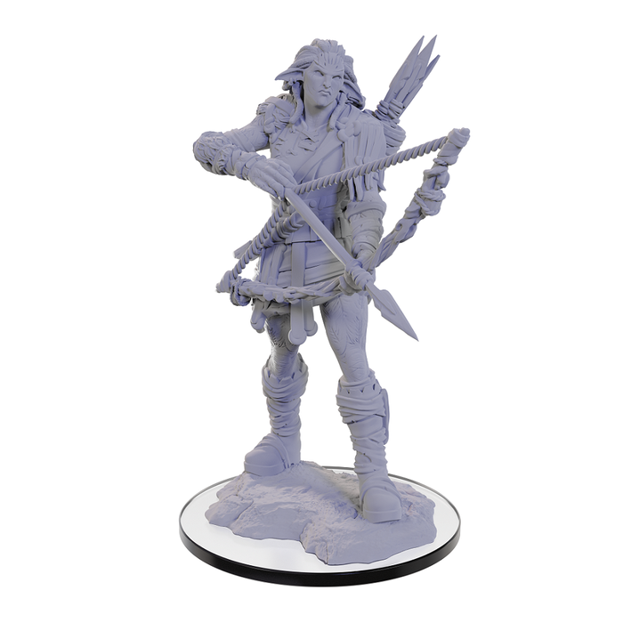 Wizkids/NECA LLC Pathfinder Deep Cuts Miniatures: Wood Giant