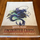 Dungeons & Dragons 5E: Encounter Cards - Challenge 0 - 6 Pack 1