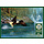 1000 pcs - Fly Fishing