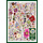 1000 pcs - Flower Press: Spring