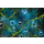 Playmat - Battle Mat: Other World 6X4