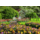 1000 pcs - Keukenhof Gardens Netherlands