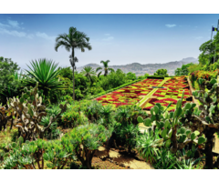 Ravensburger 1000 pcs - Botanical Garden, Madeira