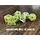 7-Piece RPG Dice Set: Creatures IC Goblin
