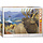 1000 pcs - King of the Valley