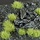 Gamers Grass 6mm Tuft Small -