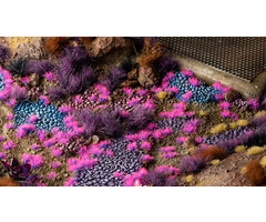 Gamers Grass Gamers Grass Alien Tiny Tufts -