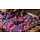 Gamers Grass Alien Tiny Tufts -