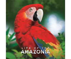 Bad Comet Life of the Amazonia