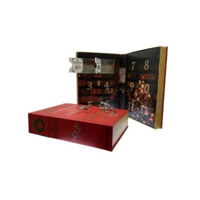 Misc Toys Christmas Advent Calendar: Metal Brainteaser Set