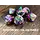 7-Piece RPG Dice Set: RPG Themed Toil & Trouble