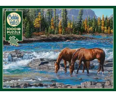 Cobble Hill Puzzles 1000 pcs - On the Rocks