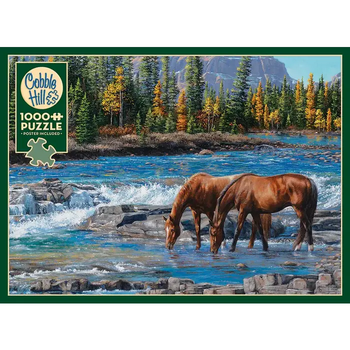 Cobble Hill Puzzles 1000 pcs - On the Rocks