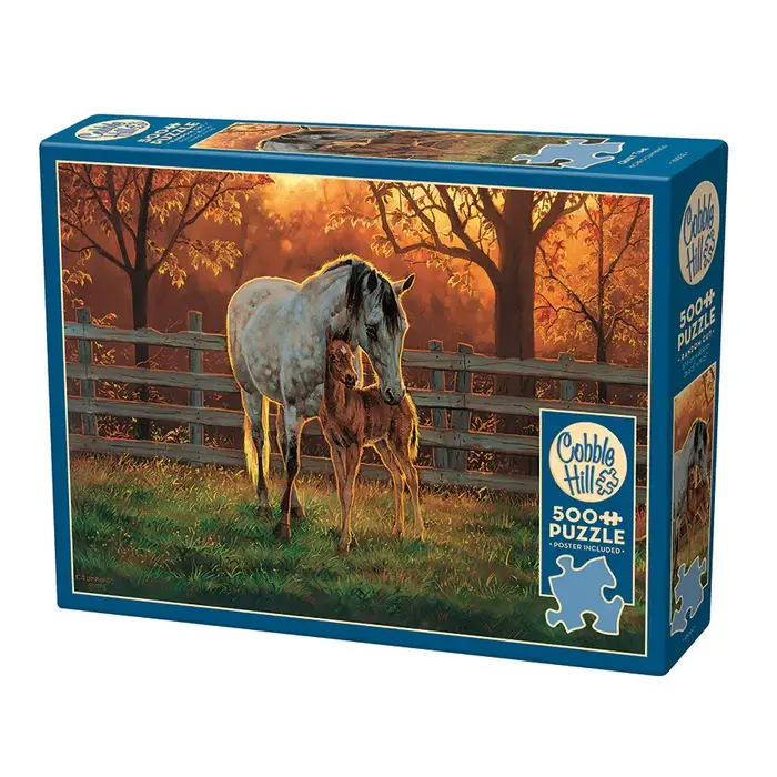 Cobble Hill Puzzles 500 pcs - Quiet Time