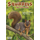 Squirrels: The Card Games