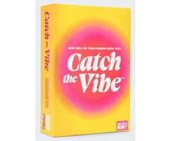 What Do You Meme Catch the Vibe