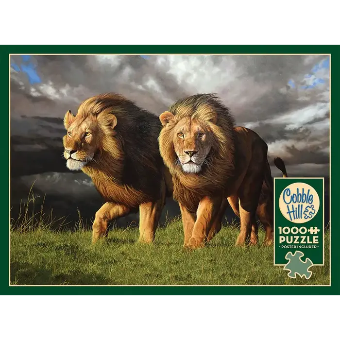 Cobble Hill Puzzles 1000 pcs - Approaching Storm