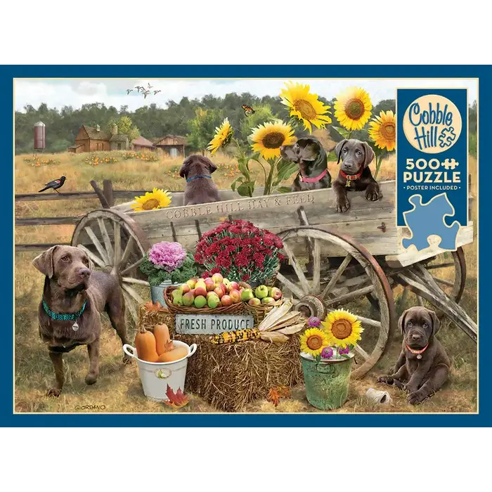 Cobble Hill Puzzles 500 pcs - Choc Wagon