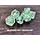 7-Piece RPG Dice Set: Interior Design (Dinosaurs) Dinonosaur