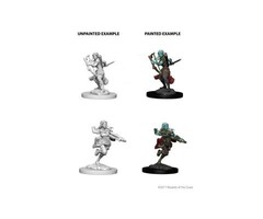 Wizkids/NECA LLC Nolzur's Marvelous Miniatures: Air Genasi Rogue