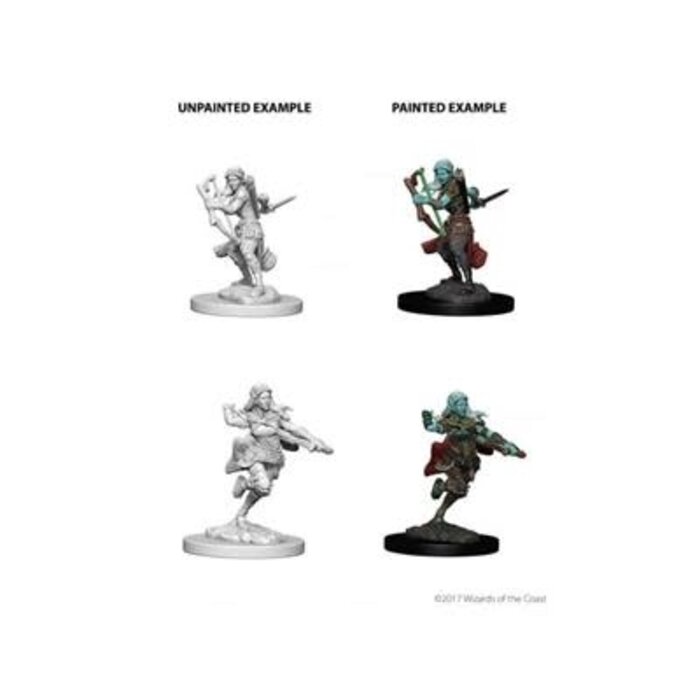 Wizkids/NECA LLC Nolzur's Marvelous Miniatures: Air Genasi Rogue