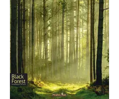 Capstone Games Black Forest