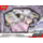 Pokemon TCG - Houndstone ex Box