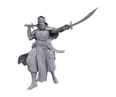 Wizkids/NECA LLC Pathfinder Deep Cuts Miniatures: Desert Giant