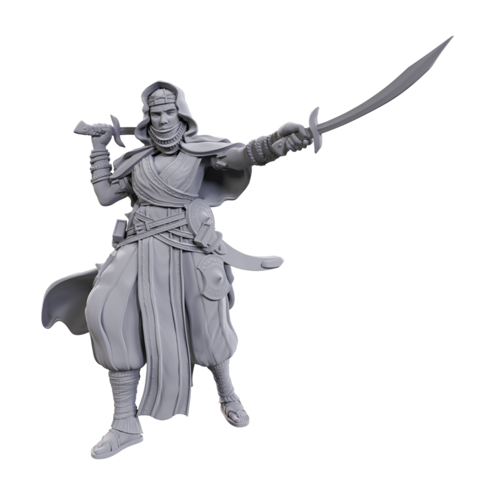 Wizkids/NECA LLC Pathfinder Deep Cuts Miniatures: Desert Giant