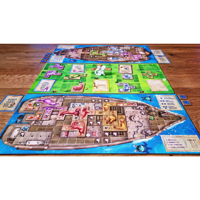 The City of Games The Isle of Cats Duel