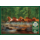 1000 pcs - Spring Creek Run