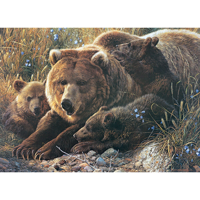 Cobble Hill Puzzles 350 pcs - Grizzly Family (Family Puzzle)