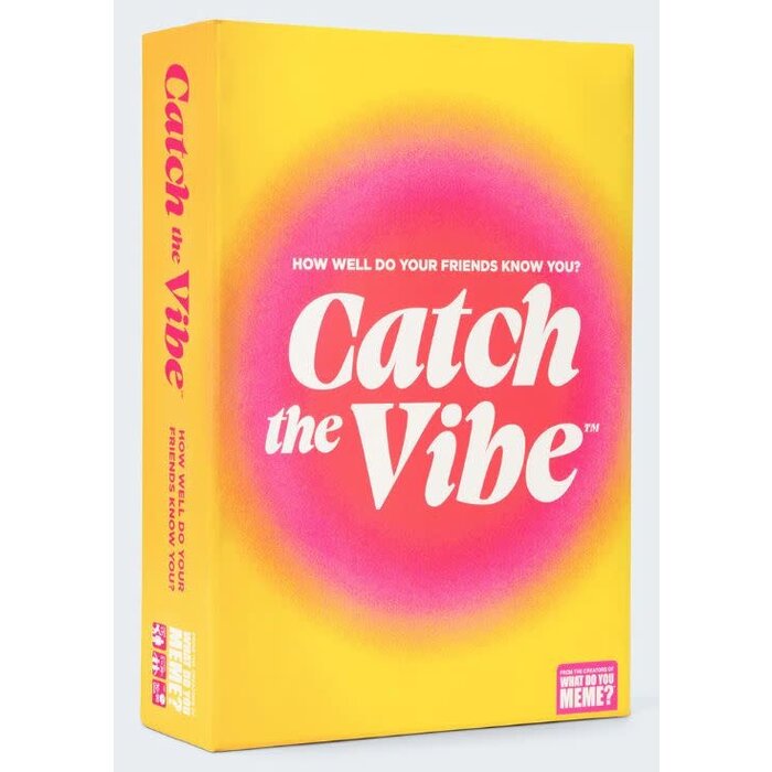 What Do You Meme Catch the Vibe