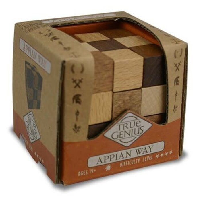 Misc Toys True Genius Mini: