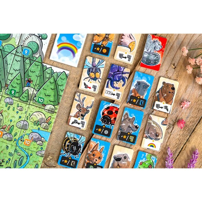 Misc Board Games Solstis