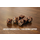 7-Piece RPG Dice Set: Coliseum Copper