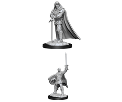 Wizkids/NECA LLC Nolzur's Marvelous Miniatures: Human Paladin Male (2025)