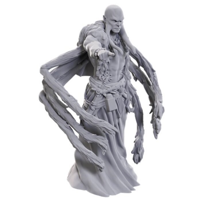 Wizkids/NECA LLC Nolzur's Marvelous Miniatures: Kraken Priest