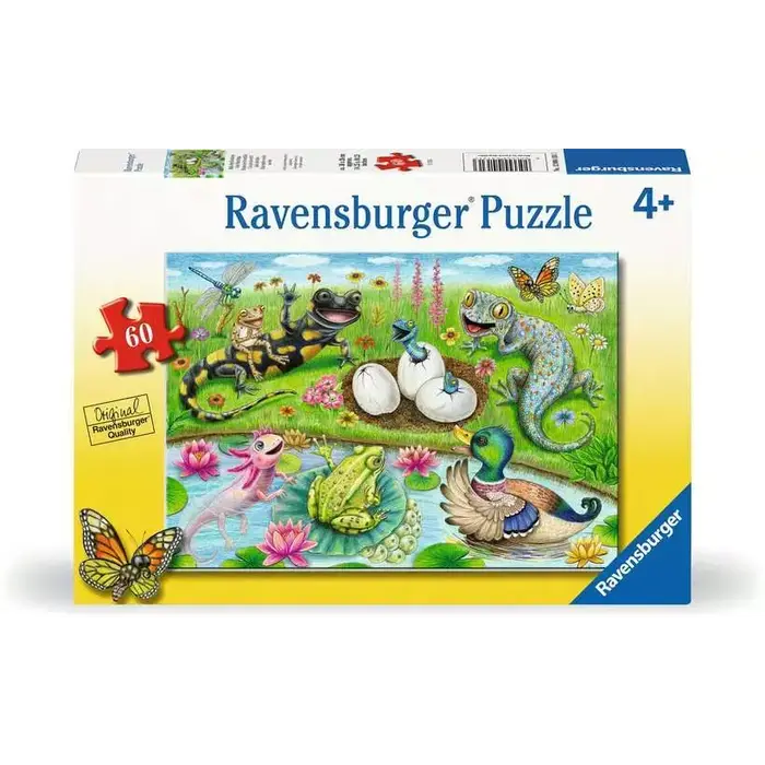 Ravensburger 60 pcs - Hello Hatchlings