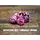 7-Piece RPG Dice Set: Midnight Orchid