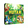 HUTAN: Life in the Rainforest