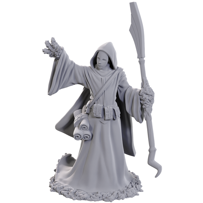 Wizkids/NECA LLC Nolzur's Marvelous Miniatures: Star Spawn Larva Mage