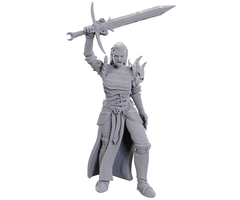 Wizkids/NECA LLC Nolzur's Marvelous Miniatures: Blackguard