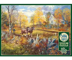 Cobble Hill Puzzles 1000 pcs - New Beginning