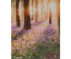 Inside Up Games Playmat - Earth: 6th Player Tableau Mat