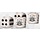 Conquest: Yoroni - Dice Set (24 ct)