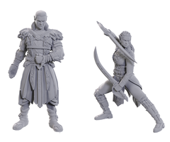 Wizkids/NECA LLC Special Edition Baldur's Gate 3 Miniatures: Jaheira & Halsin
