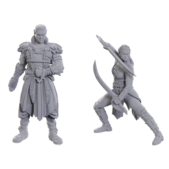 Wizkids/NECA LLC Special Edition Baldur's Gate 3 Miniatures: Jaheira & Halsin