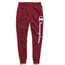CHAMPION Champion Men's Powerblend® Fleece Joggers, Vertical Script Logo GF22H Y07234 - Cherry Pie