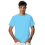 Hanes Men's X-Temp Crewneck Short-Sleeve T-Shirt 4200 | Blue Horizon